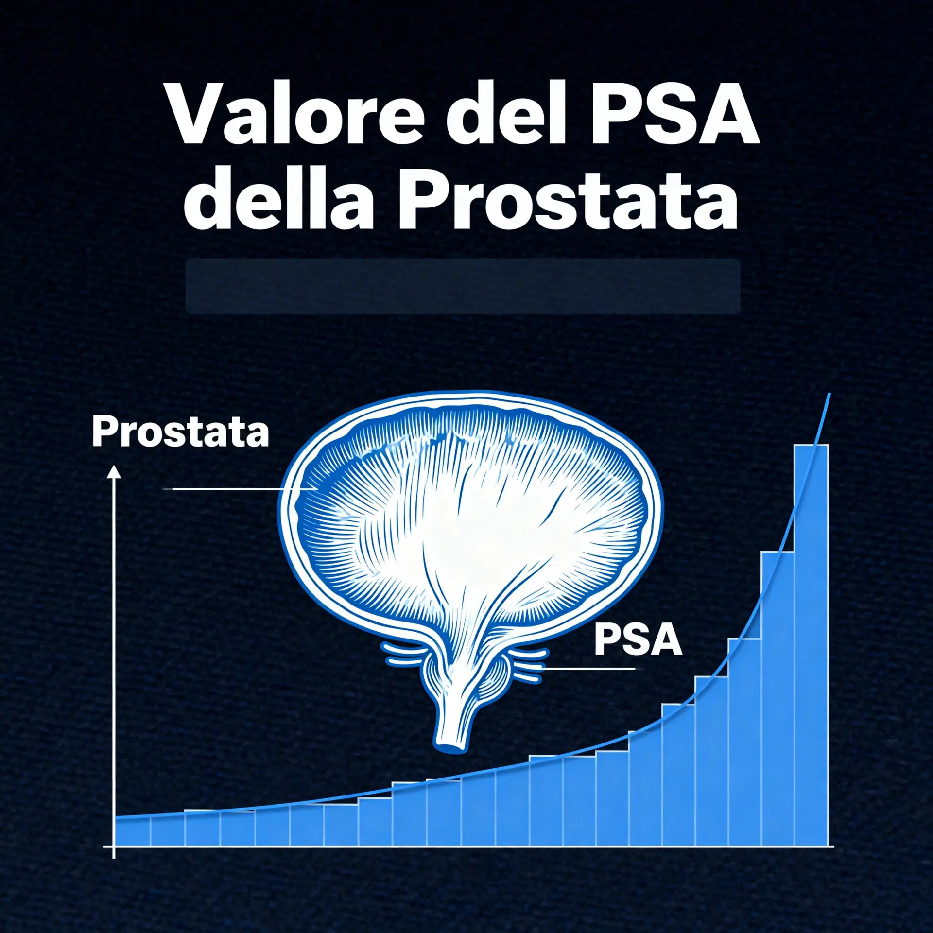 Immagine illustrativa sulla prostata - salute della prostata